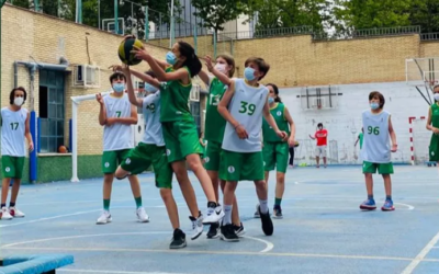 Ayuda para la renovación de las canastas